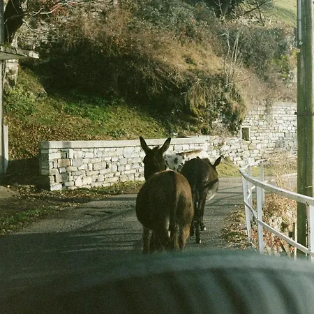 Dimora Ca' Bossi-3